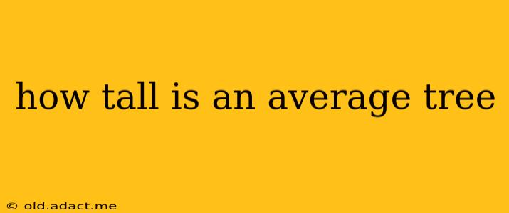 how tall is an average tree