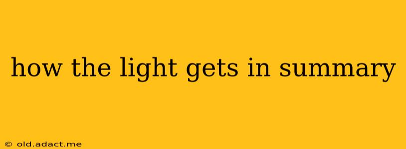 how the light gets in summary