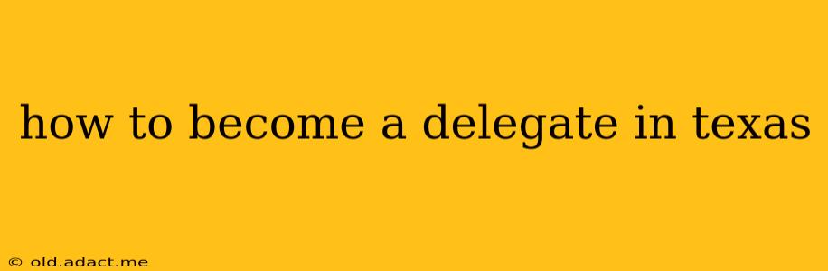how to become a delegate in texas