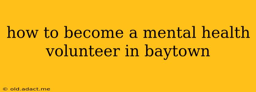 how to become a mental health volunteer in baytown