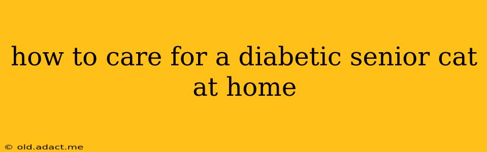 how to care for a diabetic senior cat at home