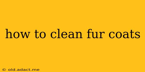 how to clean fur coats