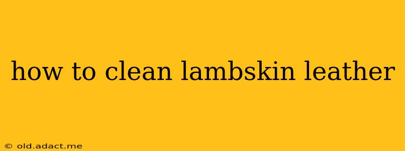 how to clean lambskin leather