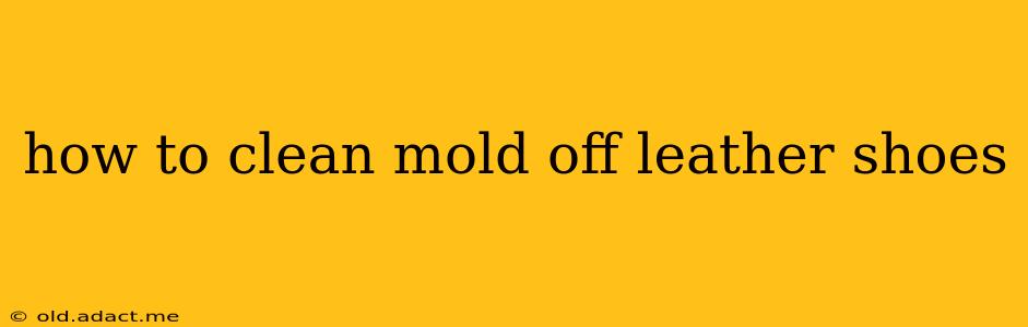 how to clean mold off leather shoes