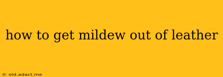 how to get mildew out of leather