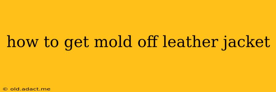 how to get mold off leather jacket