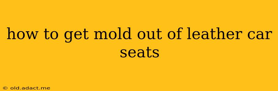 how to get mold out of leather car seats
