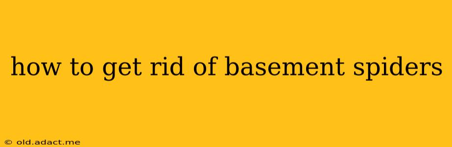 how to get rid of basement spiders