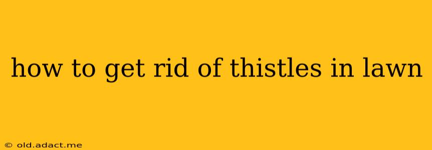 how to get rid of thistles in lawn