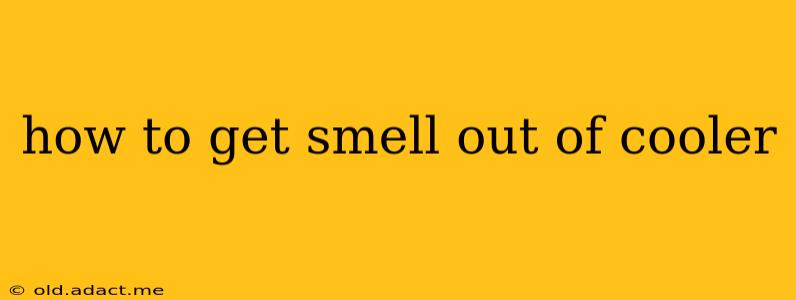 how to get smell out of cooler