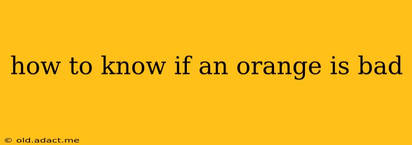how to know if an orange is bad