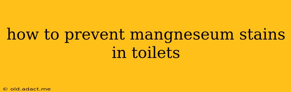 how to prevent mangneseum stains in toilets