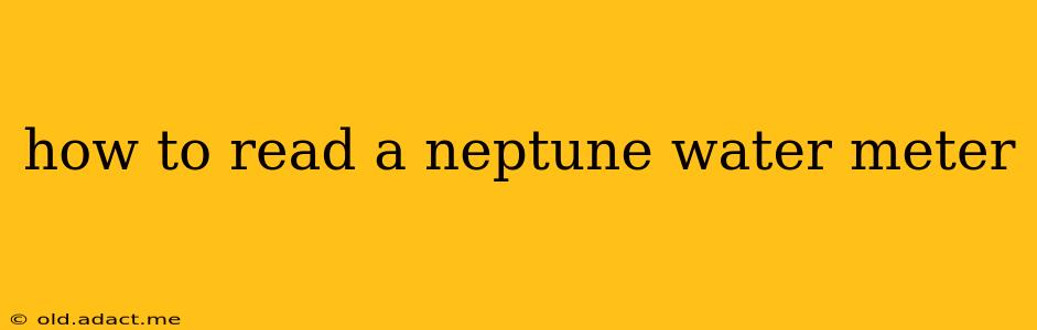how to read a neptune water meter