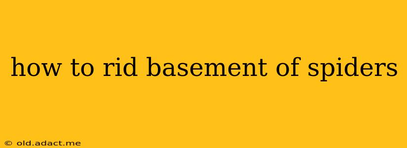 how to rid basement of spiders