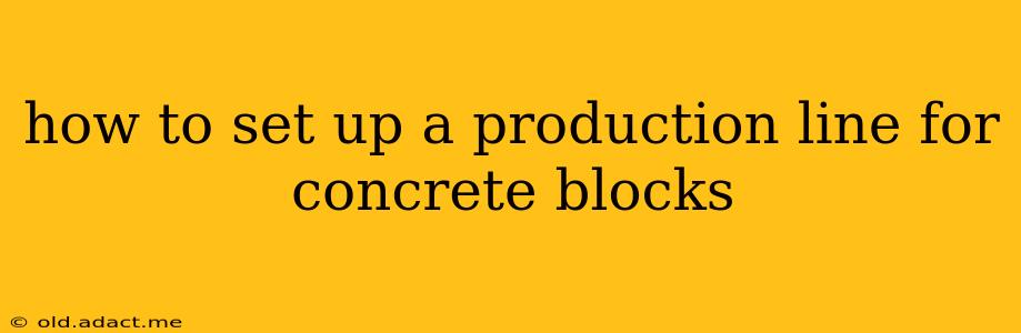 how to set up a production line for concrete blocks
