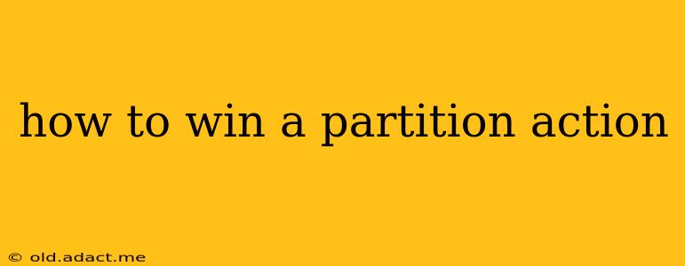 how to win a partition action