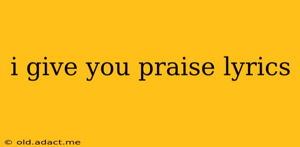 i give you praise lyrics