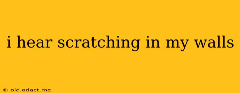 i hear scratching in my walls