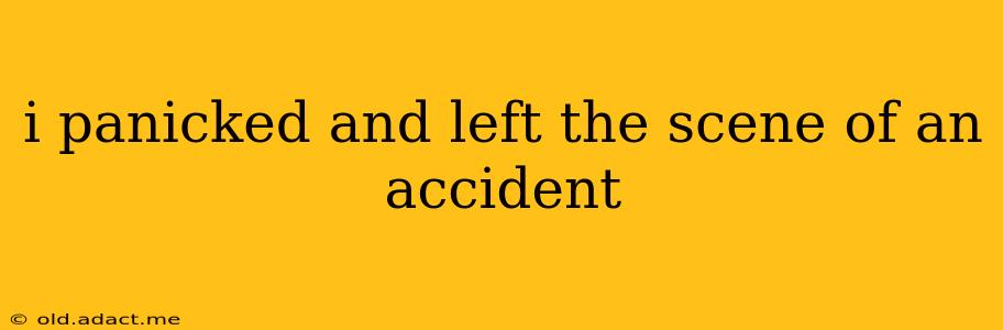 i panicked and left the scene of an accident