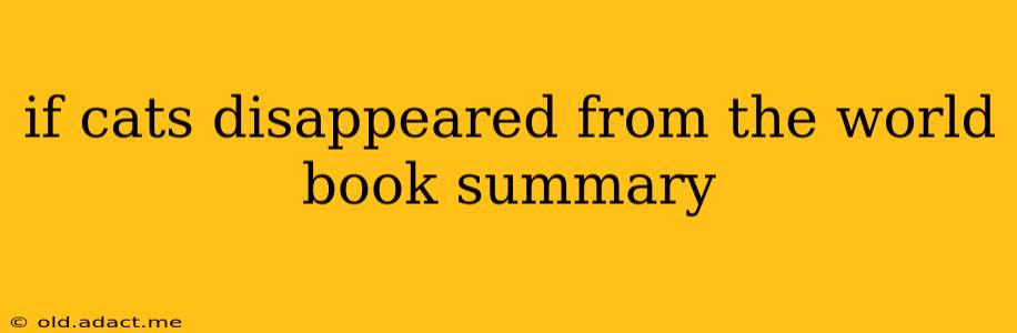 if cats disappeared from the world book summary
