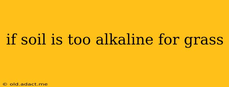 if soil is too alkaline for grass