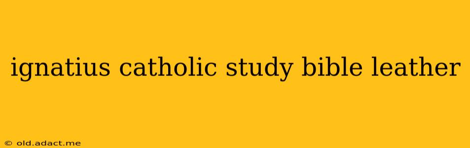 ignatius catholic study bible leather
