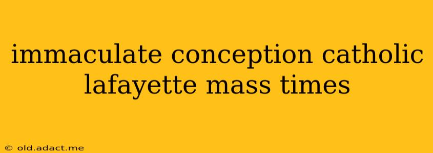 immaculate conception catholic lafayette mass times