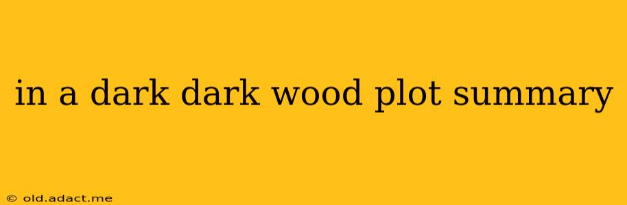 in a dark dark wood plot summary