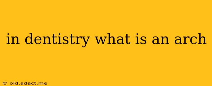 in dentistry what is an arch