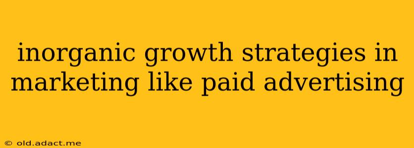 inorganic growth strategies in marketing like paid advertising