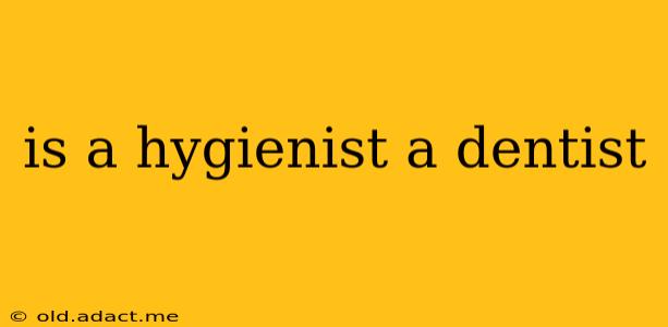 is a hygienist a dentist