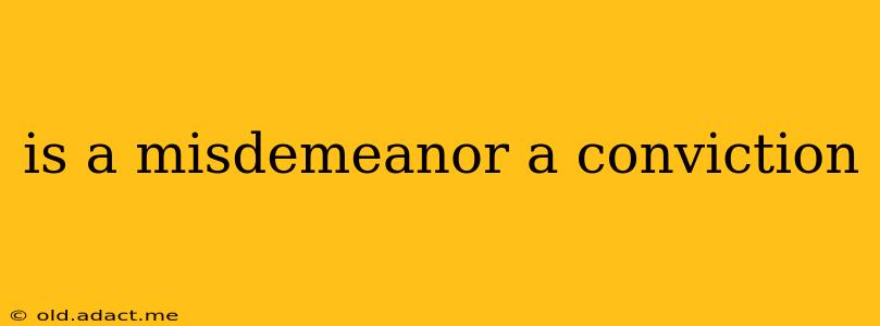 is a misdemeanor a conviction