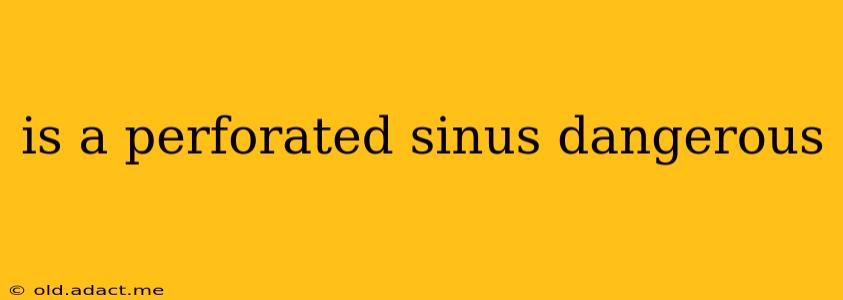 is a perforated sinus dangerous
