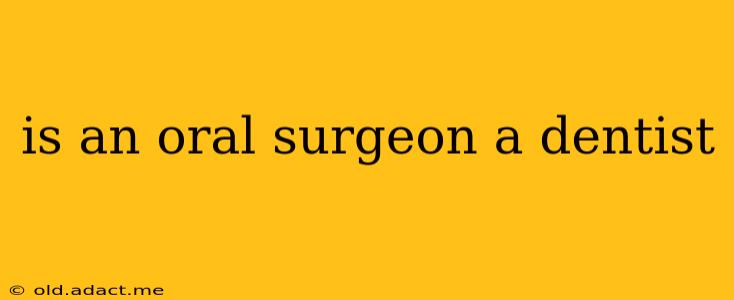 is an oral surgeon a dentist