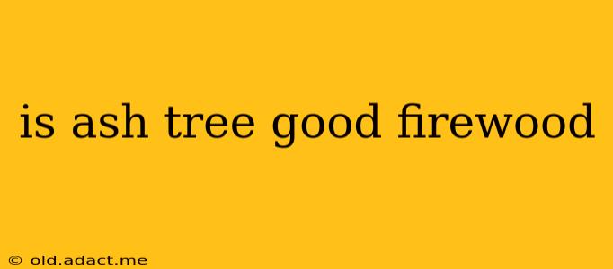 is ash tree good firewood