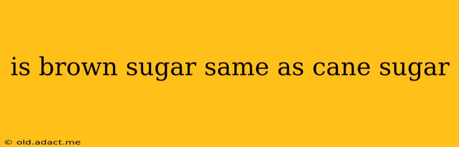 is brown sugar same as cane sugar
