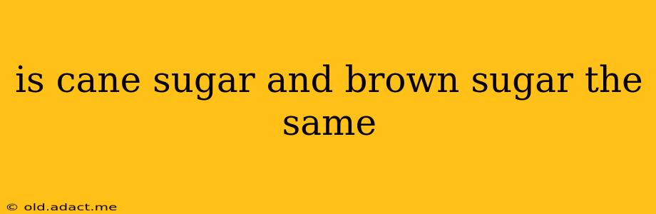 is cane sugar and brown sugar the same