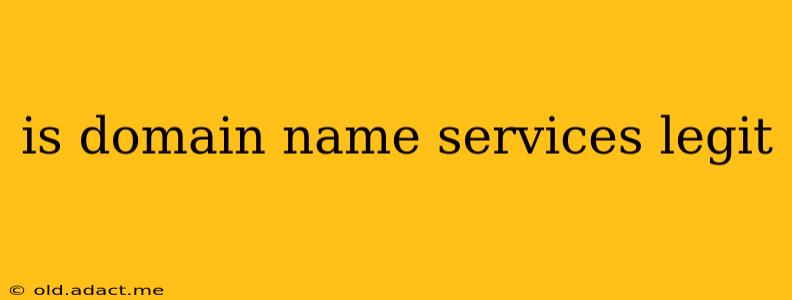 is domain name services legit