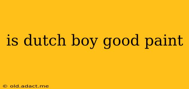 is dutch boy good paint