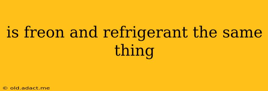 is freon and refrigerant the same thing