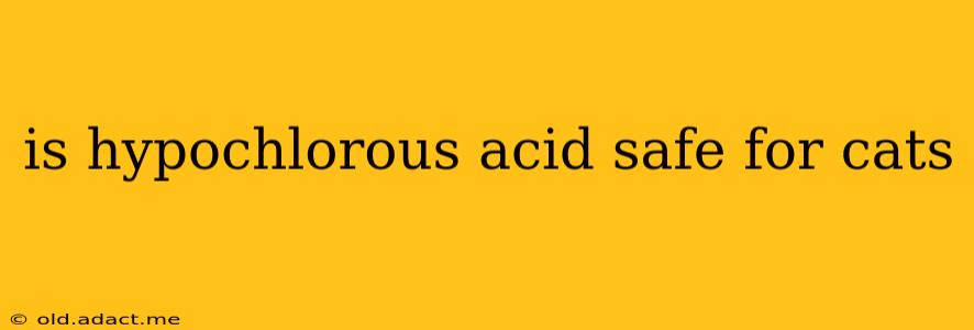 is hypochlorous acid safe for cats