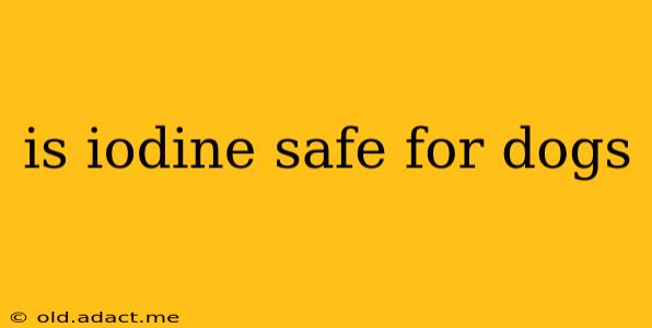 is iodine safe for dogs