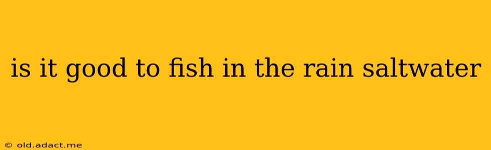 is it good to fish in the rain saltwater