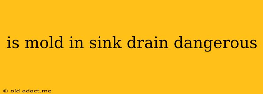 is mold in sink drain dangerous