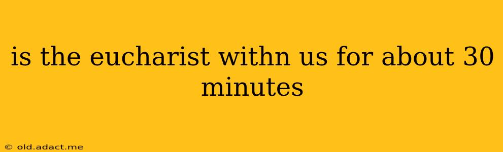 is the eucharist withn us for about 30 minutes