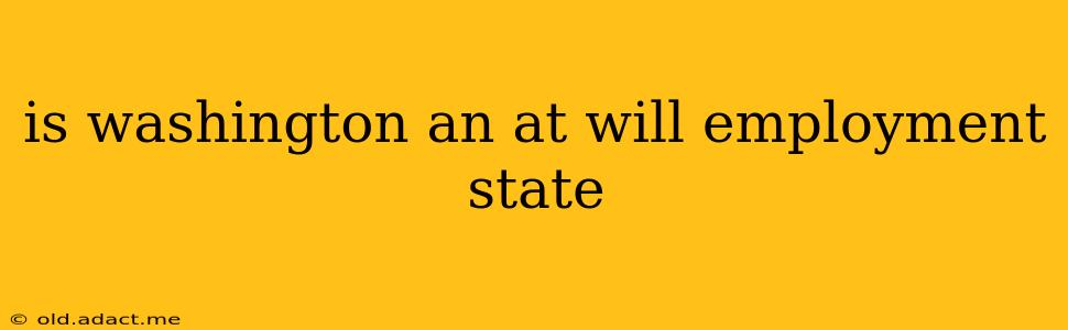 is washington an at will employment state