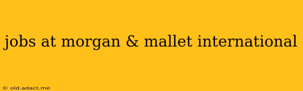 jobs at morgan & mallet international