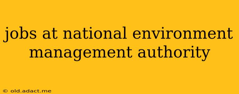 jobs at national environment management authority