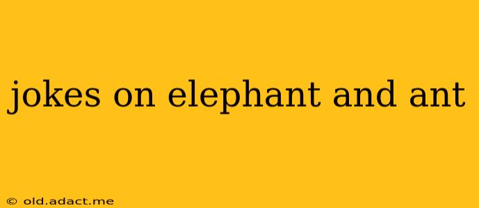 jokes on elephant and ant