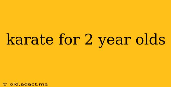 karate for 2 year olds